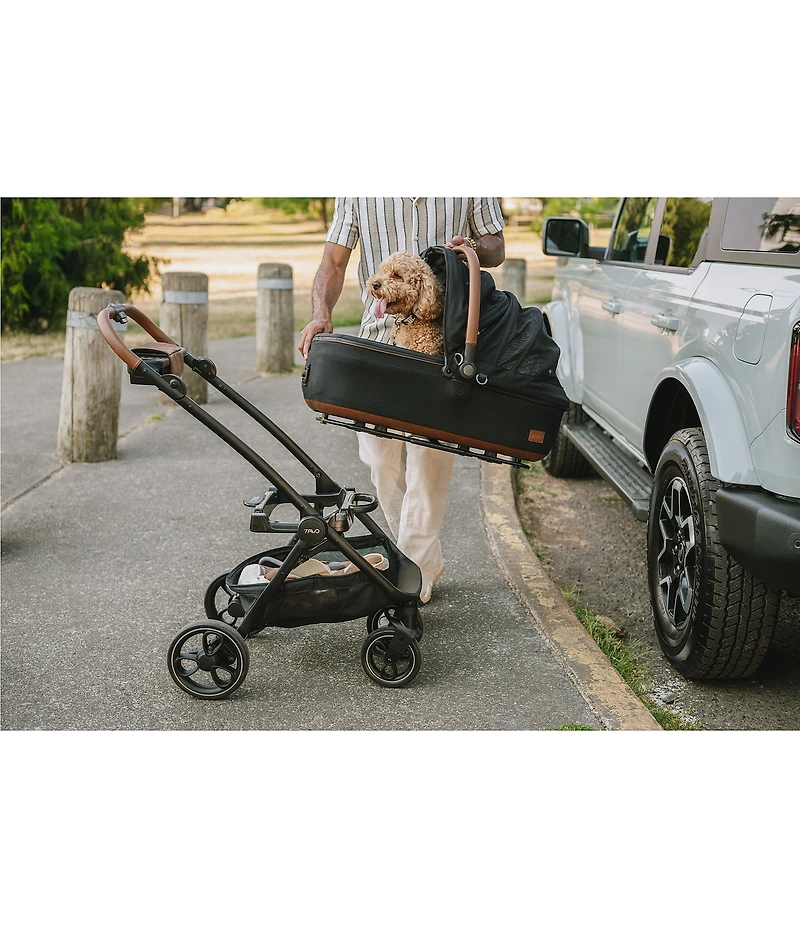 Maeve™ 3-in-1 Pet Protection System, Medium Rigid