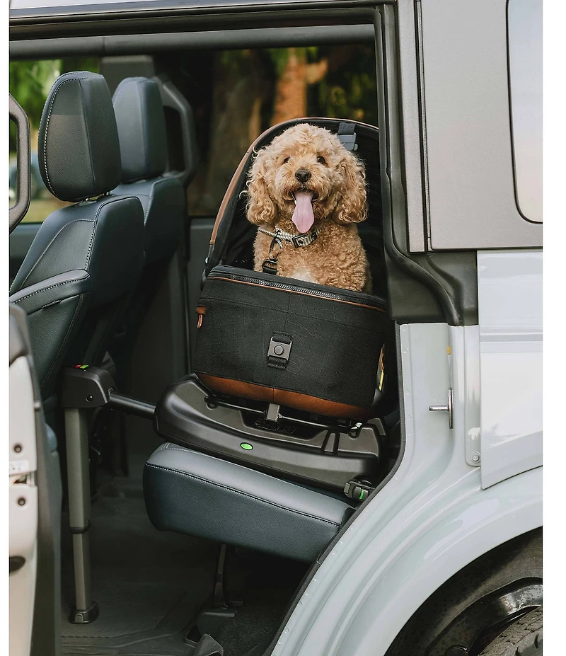 Maeve™ 3-in-1 Pet Protection System, Medium Rigid