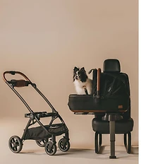 Maeve™ 3-in-1 Pet Protection System, Medium Rigid