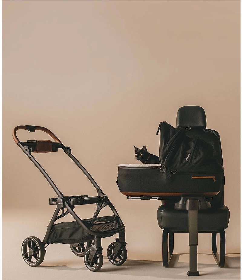 Tavo Pet Maeve™ 3-in-1 Pet Protection System, Medium Flex