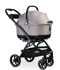Tavo Pet Maeve Iso 6X Car Seat + Roscoe Stroller Frame Travel System