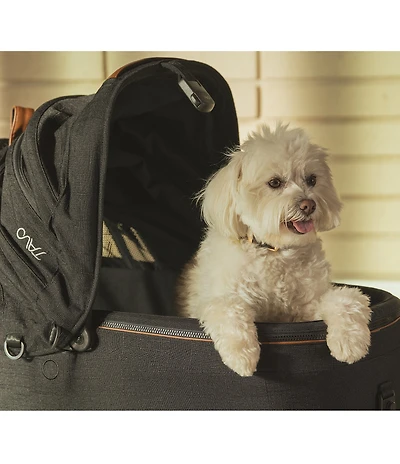 Maeve™ Pet Car Seat, Medium Flex