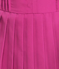 TCEC Poplin Drop Waist Pleated Dress