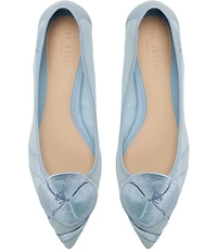 Ted Baker London Ella Mae Embroidered Mesh Ballet Flats