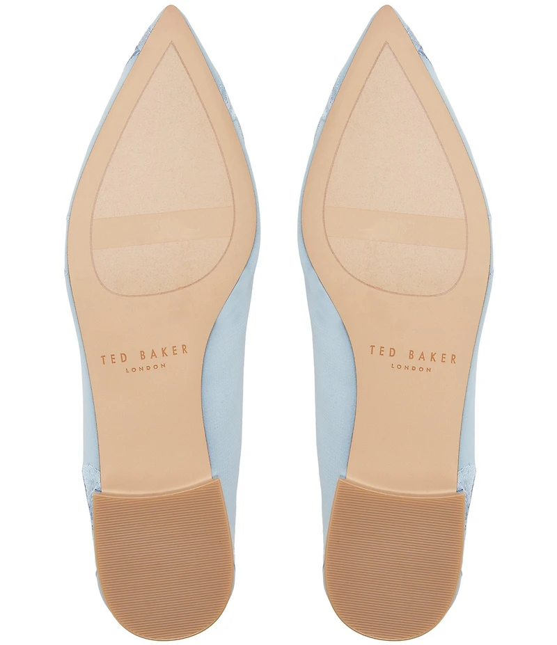 Ted Baker London Ella Mae Embroidered Mesh Ballet Flats