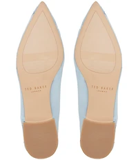 Ted Baker London Ella Mae Embroidered Mesh Ballet Flats