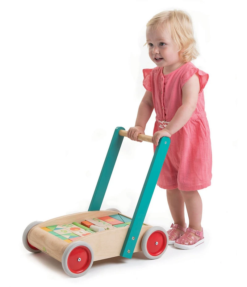 Tender Leaf Toys Baby Block Walker