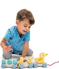 Tender Leaf Toys Pull Along Duck Toy