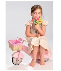Tender Leaf Toys Scooter With Basket