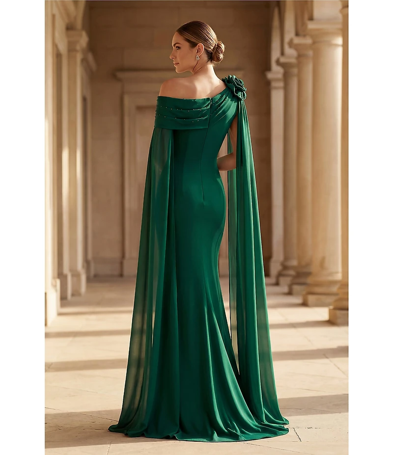 Terani Couture Chiffon Asymmetrical Neckline Floral Applique Sheath Gown