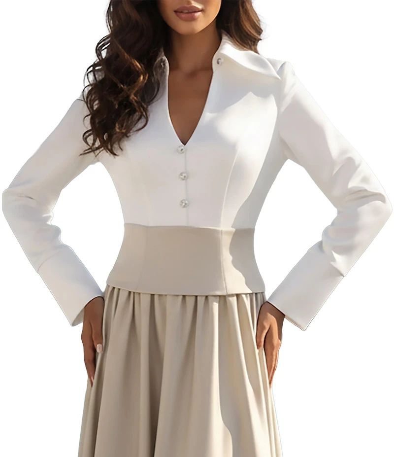 Terani Couture Matte Satin Two Tone Collard V-Neck Long Sleeve A-Line Gown