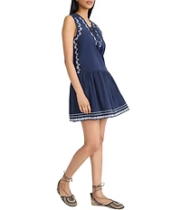 The Good Journey Embroidered Sleeveless V Lace-Up Neck Flare Skirt Mini Dress