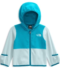 The North Face Baby Blue Glacier Full Zip Hoodie