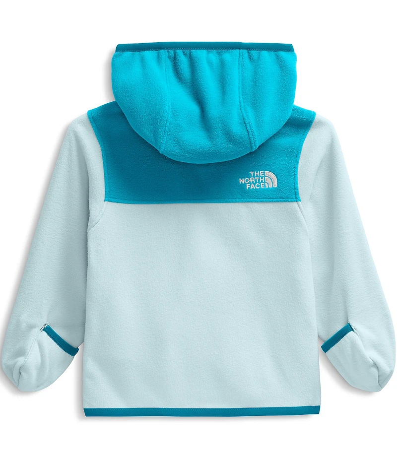 The North Face Baby Blue Glacier Full Zip Hoodie