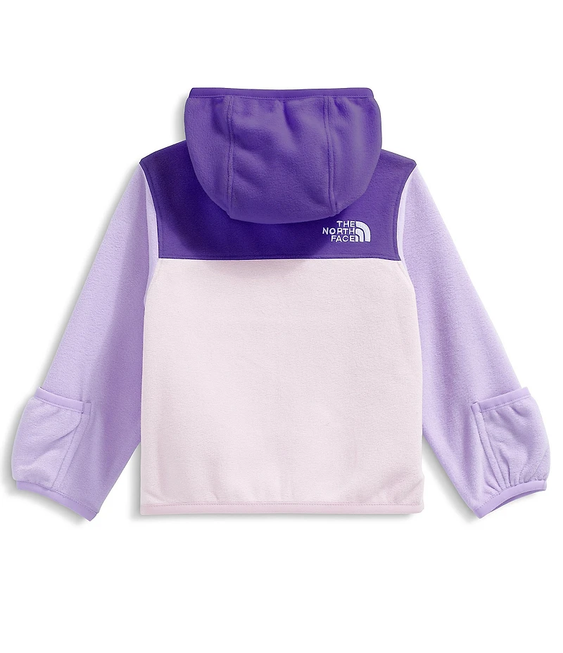 The North Face Baby Glacier Full Zip Hoodie