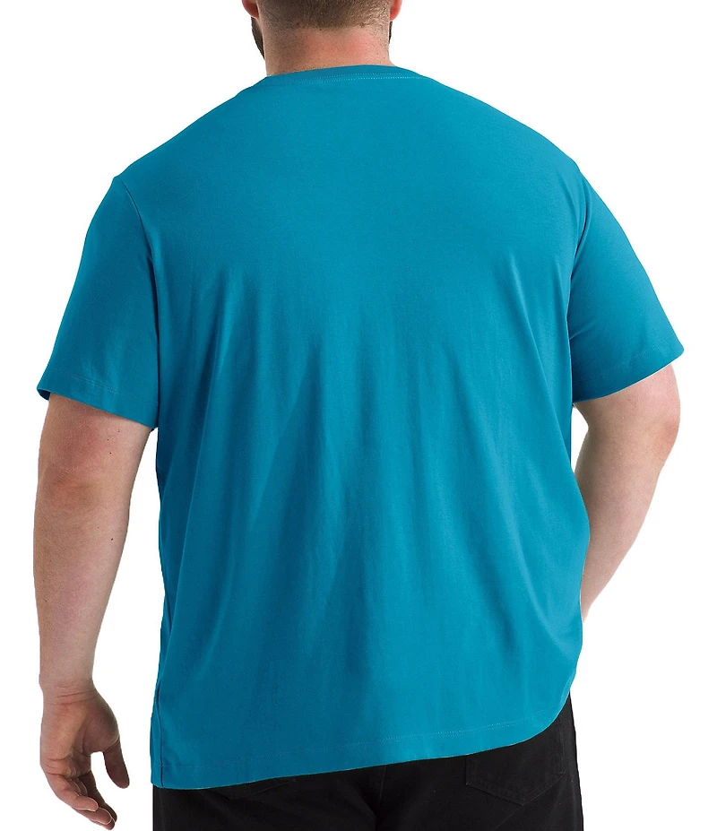 The North Face Big & Tall Big Evolution Simple Dome Short Sleeve T-Shirt