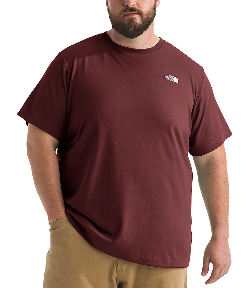 The North Face Big & Tall Big Evolution Simple Dome Short Sleeve T-Shirt
