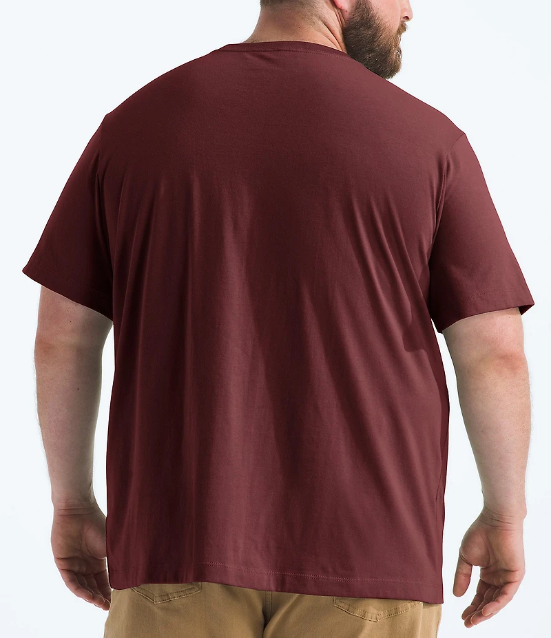 The North Face Big & Tall Big Evolution Simple Dome Short Sleeve T-Shirt