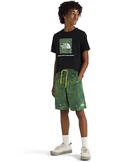 The North Face Big Boys Never Stop Topo-Printed Shorts