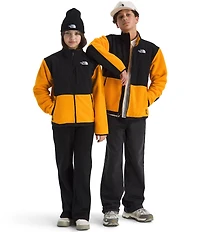 The North Face Big Boys Denali Jacket