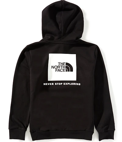 The North Face Big Boys Evolution Box NSE Pullover Hoodie