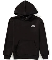 The North Face Big Boys Evolution Box NSE Pullover Hoodie
