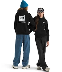 The North Face Big Boys Evolution Box NSE Pullover Hoodie