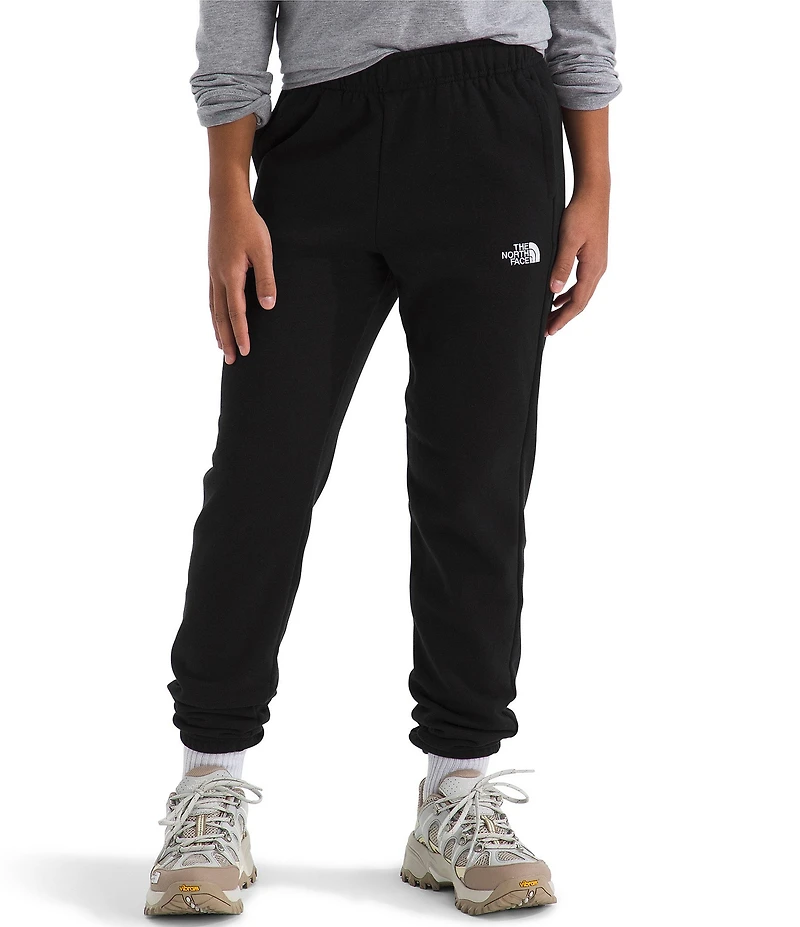 The North Face Big Boys Evolution EMB Pants