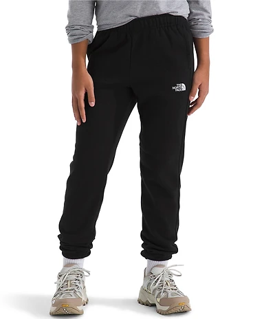 The North Face Big Boys Evolution EMB Pants
