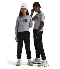 The North Face Big Boys Evolution EMB Pants