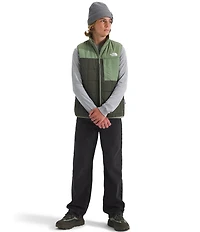 The North Face Big Boys' Reversible Shasta Vest