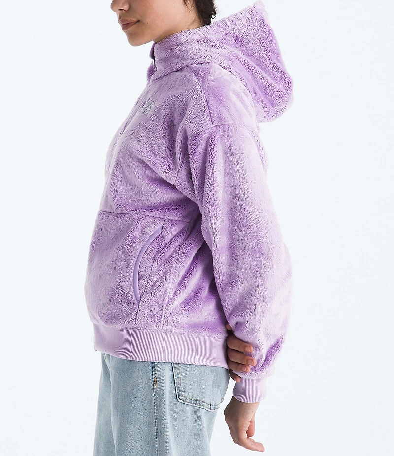 The North Face Big Girls Osito Full Zip Hoodie