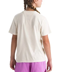 The North Face Big Kids Celestial Drift T-Shirt