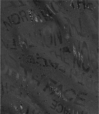 The North Face Big Kids Class V Shorts