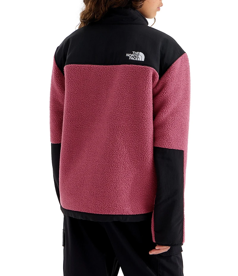 The North Face Big Kids Denali Jacket