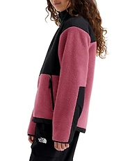 The North Face Big Kids Denali Jacket