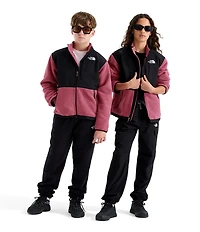 The North Face Big Kids Denali Jacket