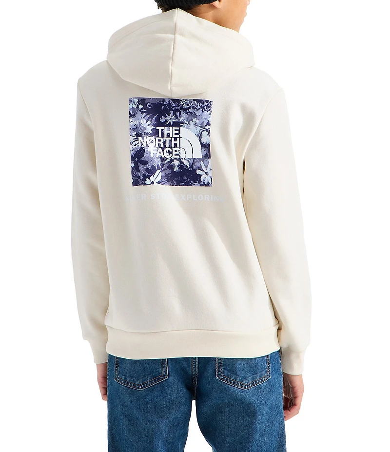 The North Face Big Kids Evolution Box NSE Graphic Pullover Hoodie
