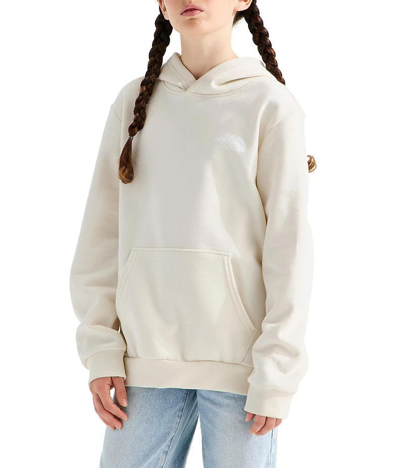 The North Face Big Kids Evolution Box NSE Graphic Pullover Hoodie