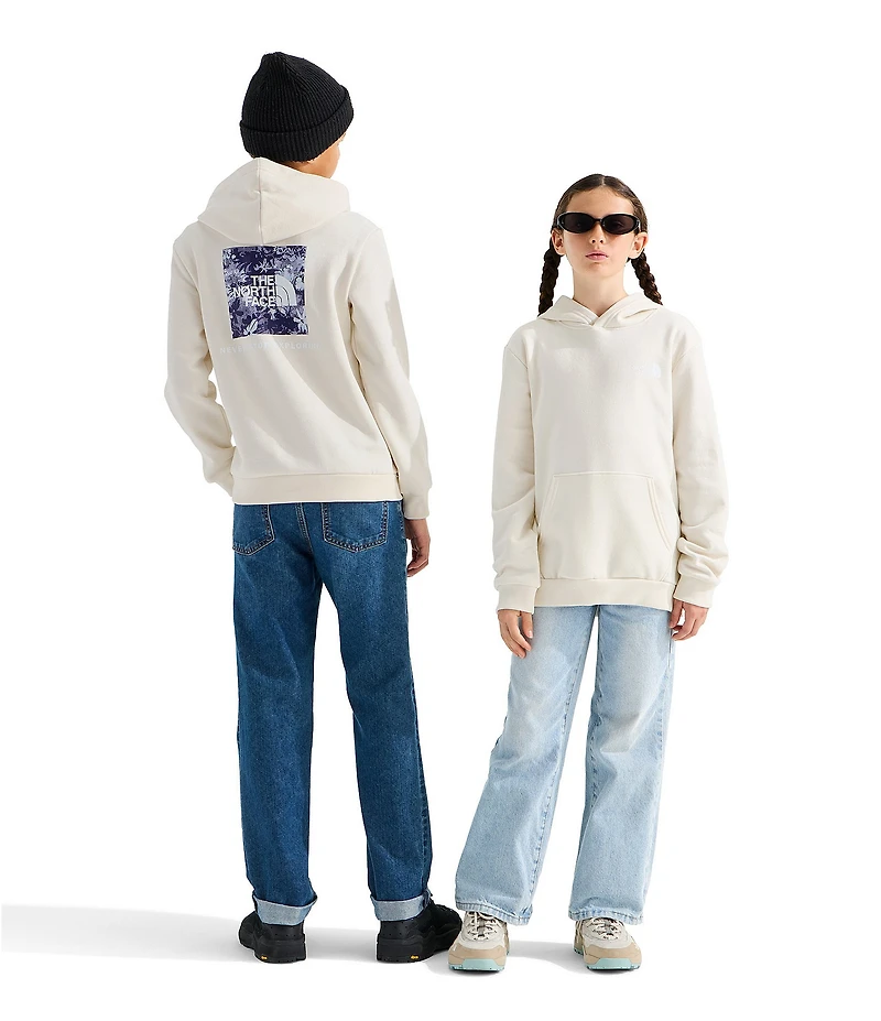 The North Face Big Kids Evolution Box NSE Graphic Pullover Hoodie