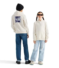 The North Face Big Kids Evolution Box NSE Graphic Pullover Hoodie