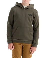 The North Face Big Kids Evolution Box NSE Graphic Pullover Hoodie