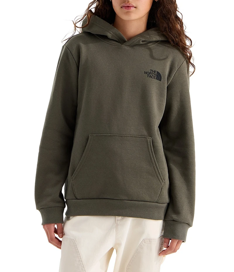 The North Face Big Kids Evolution Box NSE Graphic Pullover Hoodie