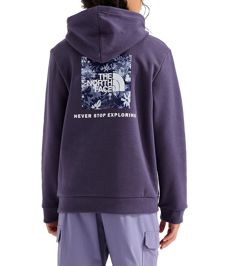 The North Face Big Kids Evolution Box NSE Graphic Pullover Hoodie