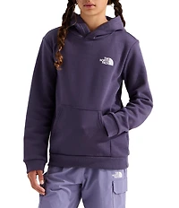 The North Face Big Kids Evolution Box NSE Graphic Pullover Hoodie