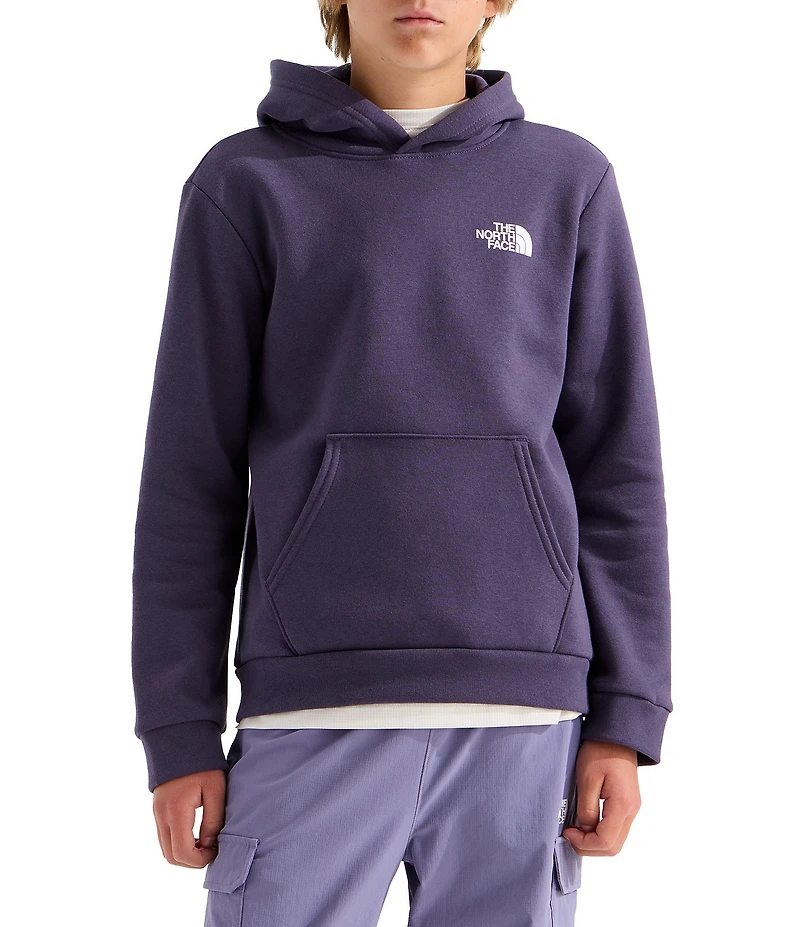 The North Face Big Kids Evolution Box NSE Graphic Pullover Hoodie
