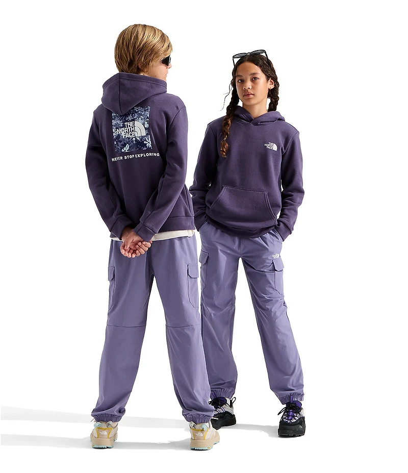 The North Face Big Kids Evolution Box NSE Graphic Pullover Hoodie