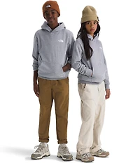 The North Face Big Kids Evolution Box NSE Pullover Graphic Hoodie