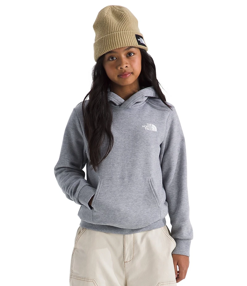 The North Face Big Kids Evolution Box NSE Pullover Graphic Hoodie