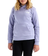 The North Face Big Kids Evolution Box NSE Pullover Hoodie